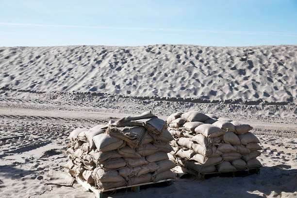 Transporte sostenible